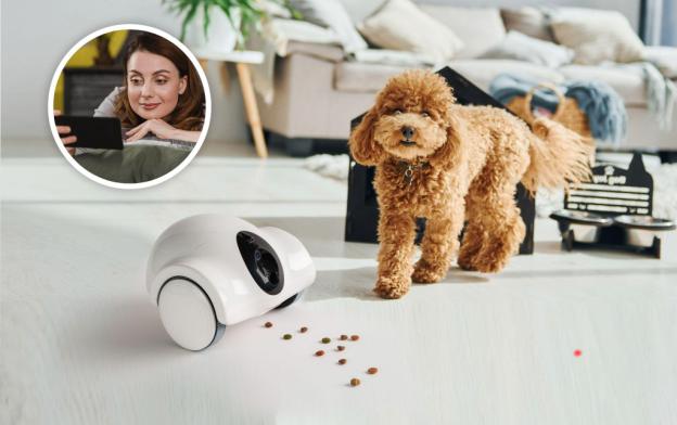 GULIGULI Pet Companion Robot