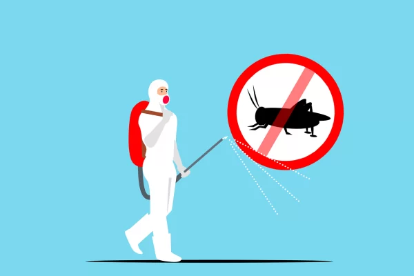 How to Keep Spiders Out of Your Home in Utah